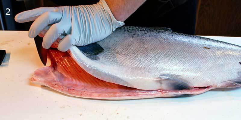 Knifestock BLOG - Comment bien fileter le saumon