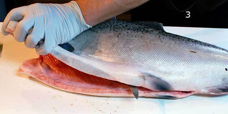 Knifestock BLOG - Comment bien fileter le saumon