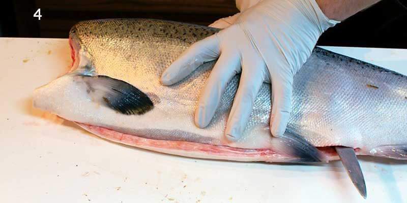 Knifestock BLOG - Comment bien fileter le saumon