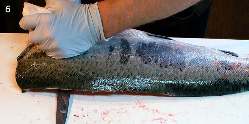 Knifestock BLOG - Comment bien fileter le saumon