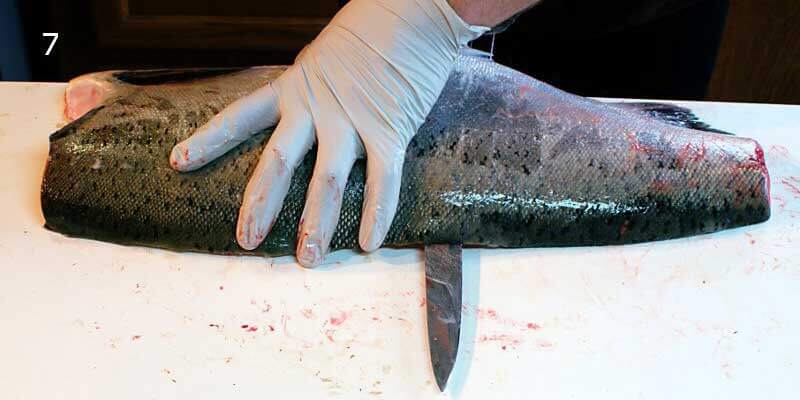 Knifestock BLOG - Comment bien fileter le saumon